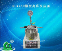 SLM250微型高压反应釜