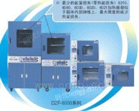 DZF-6021真空干燥箱