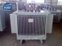 商洛S11-250/10变压器