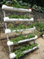 阳台管道式无土栽培蔬菜种植机