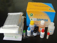 大鼠乙醛脱氢酶ELISA试剂盒