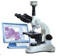 自动对焦数码生物显微镜