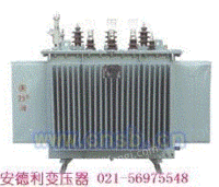 S11-100KVA 浙江