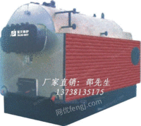 DZG2-1.3-AⅡ节能燃煤蒸汽锅炉2