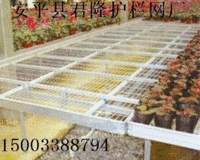 安平供应苗床网，北京温室苗床网，