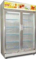 太康立式冰箱展示柜