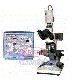 ZMM-500V正置金相显微镜