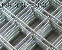冷镀锌铁丝网-铁丝焊接网-镀锌网