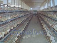 河南鸡笼厂四层蛋鸡笼，优质鸡笼