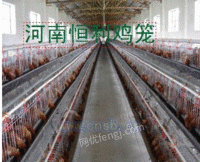 河南西平县恒利鸡笼有限公司鸡笼