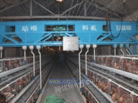 永兴蛋鸡自动喂料机设备厂