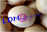 供应LDM鸡蛋专用喷码机