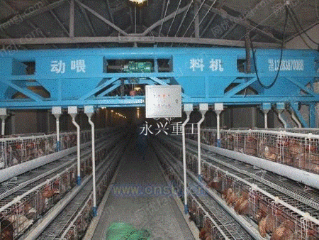 自动化养鸡场设备出售