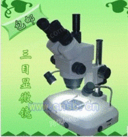 三目显微镜 体式显微镜