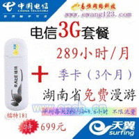中国电信3个月 3G上网卡