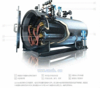 LDR电热蒸汽热水锅炉