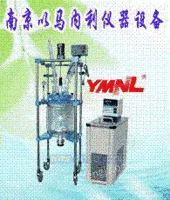 扬州玻璃反应釜YMNL1-50L