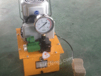 专业生产液压电动工具超高压电动泵
