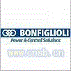 BONFIGLIOLI RIDU