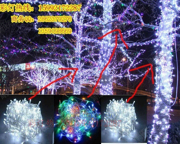 led街道挂树串串彩灯/户外彩灯