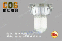 NFC9180应急防眩泛光灯