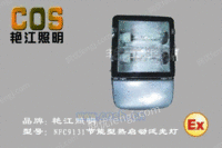 NFC9131节能型热启动泛光灯