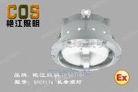NFC9176/长寿顶灯