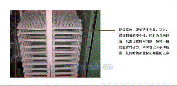 孵化设备价格