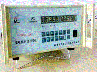 鹤壁天键微电脑时温程控仪厂家数显温控仪 马弗炉控制器
