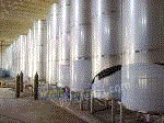 白酒储罐1-500吨