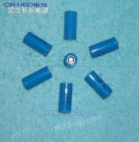 CR1/6D电池