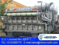 NIGM大的气体发动机组制造