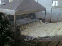 东莞方粉生产线