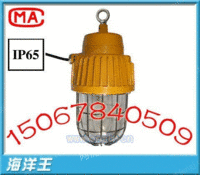 DGS70/127B（E）矿用灯