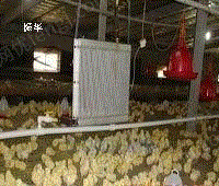 养鸡加温设备好处