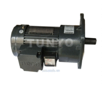 TUNYO东洋厂家直销立式马达