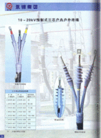 冷缩电缆头（电缆附件0