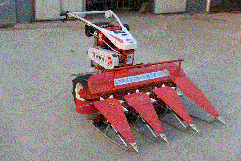 product-145418-160861596_ht.jpg!600big