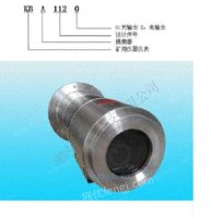 防爆仪,矿用隔爆型仪