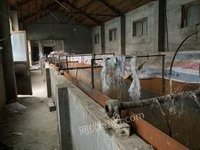 山东泰安因个人原因转让正常生产塑料颗粒厂 用了一年多,打包卖.