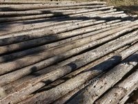 北京昌平区工地急出售闲置杉木支撑杆3米4米5米大概7万根,还有70-80张上下铺床