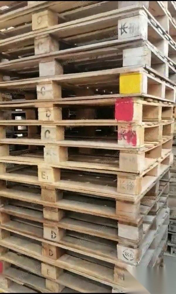 天津宝坻区大量出售各种规格木托盘