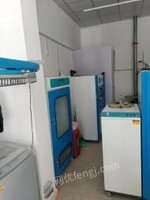 新疆喀什不做了出售闲置洗涤设备 20公斤水洗,干洗,烘干,烫台,打包等.买了三年,看货议价.