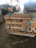 长期低价出售桉木一级板，二级板，木皮，木板，单板，桉木，木棍，木芯，桉木材料