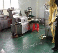 供应河南信阳淮滨商城小型人造肉机 蛋白肉机豆肠机