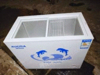 湖南长沙常年出售双门冰箱和8成新澳柯玛卧式冰柜可送货