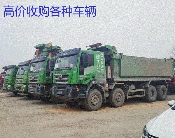 现货库存绿皮渣土运输自卸车豪沃后翻后八轮包过户