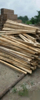 浙江嘉兴因客户的需求不同出售废旧木方模板