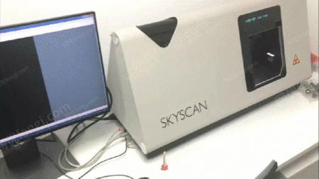 Skyscan1174΢CT