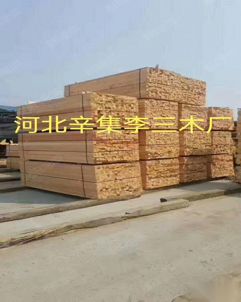 河北石家庄辛集市 出售 建筑模板 建筑木方 木架板